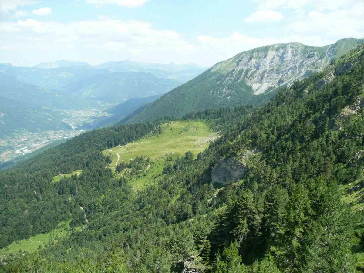 Vuceljic Rooms Andrijevica Buitenkant foto